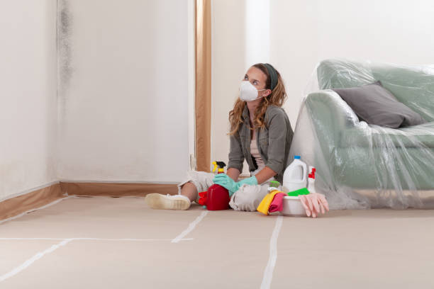 Reliable Mold Remediation contractor in Celina, TX by WQB Mold Removal